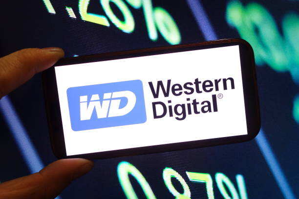 WDC stock rises 31% in a month on AI demand
