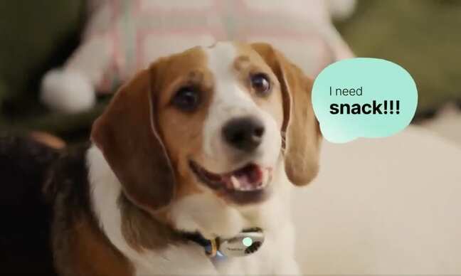 Chinese startup creates AI pet translator device, claims 95% accuracy