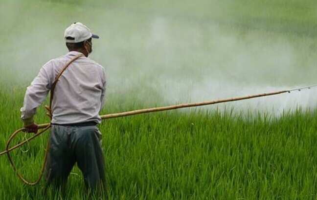 Centre's fertiliser subsidy could top ₹3 trillion if West Asia crisis continues: Official