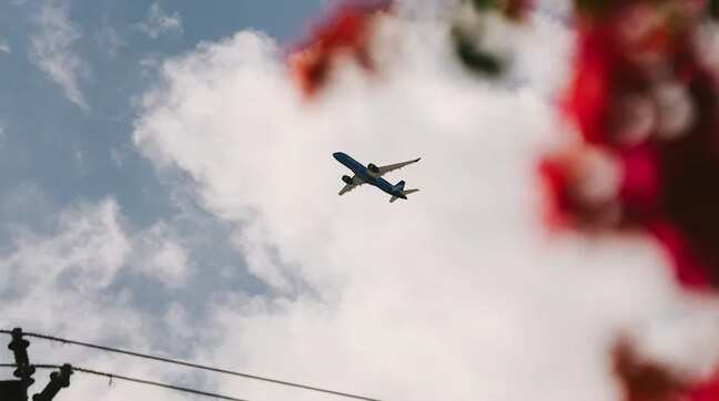 More airlines may go bankrupt: IATA head on rising jet fuel prices