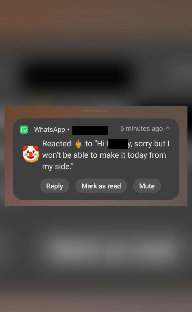 Startup founder sends middle-finger emoji as intern backs out of interview, sparks debate