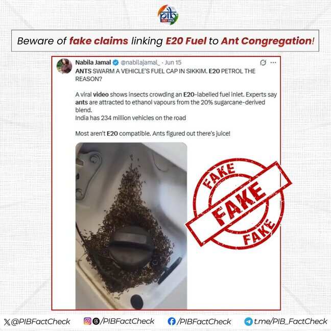 Fake, no scientific basis: Govt on video showing ants around E20-compatible car's fuel tank