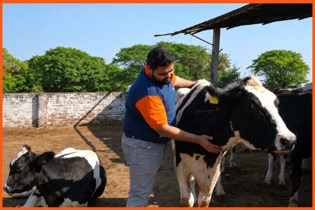 Doodhvale Farms secures $1 million in follow-on funding