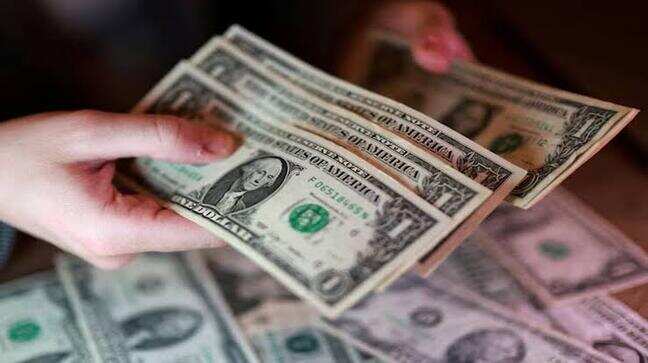 What are the risks of borrowing against FCNR deposits?