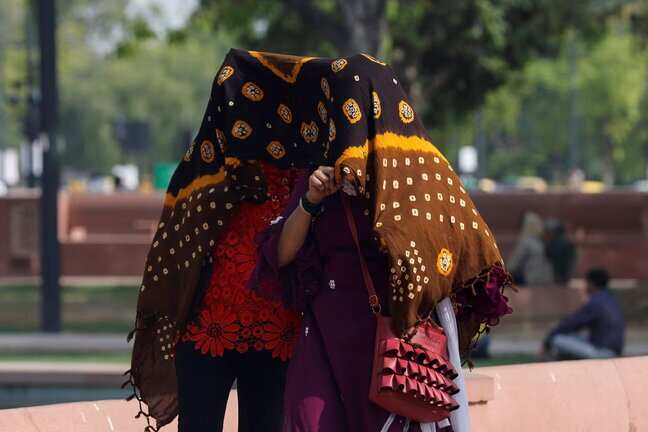 Extreme heat costs India, its neighbours 31 million jobs annually: World Bank