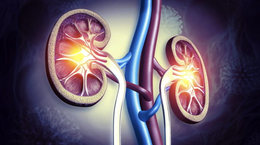 Constipation drug lubiprostone protects kidney function: Study