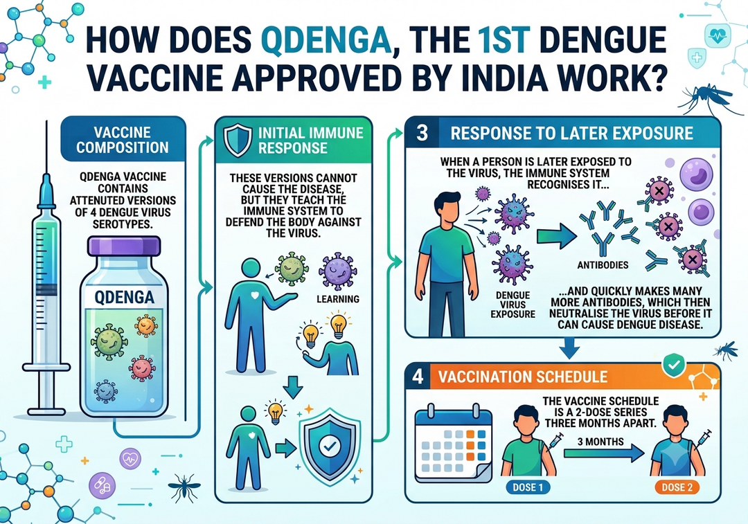 How does QDENGA, the 1st dengue vaccine approved by India, work?