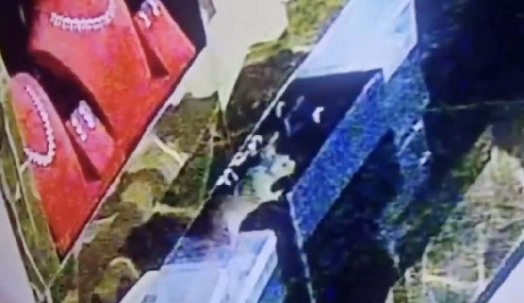 Rat appears to steal gold & diamond jewellery worth ₹10 lakh in Karnataka