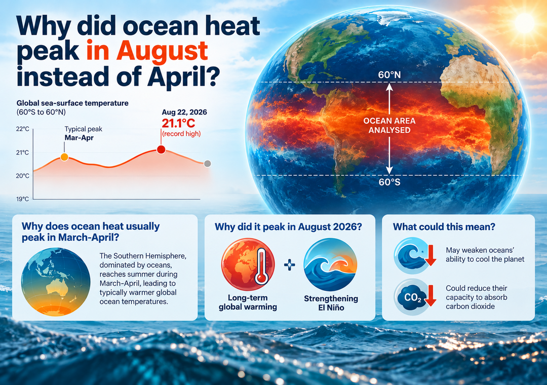 Why did ocean heat peak in August instead of April?