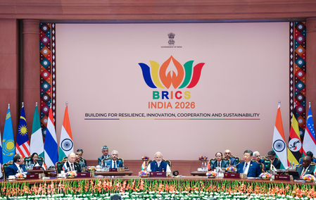 BRICS backs greater cooperation on traditional medicine