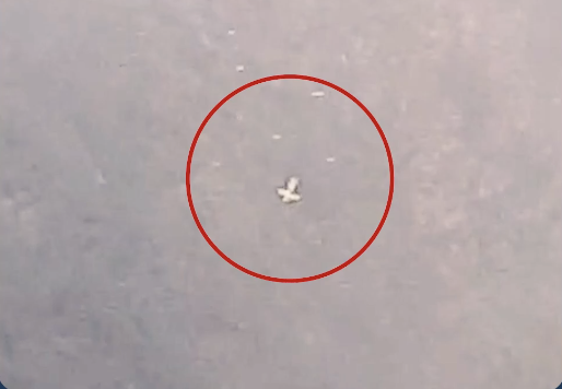 First visuals showing site where helicopter crashed & killed 6 in Uttarakhand surface