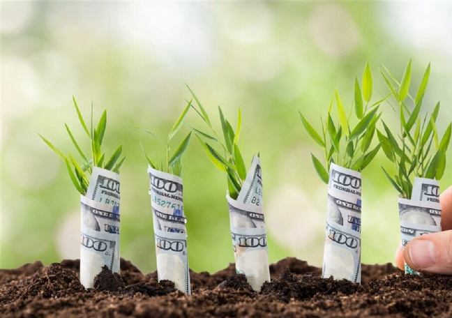 Seed vs VC: Which is right for your startup?