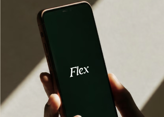 AI fintech startup Flex doubles valuation to ₹11,500 cr in 6 months
