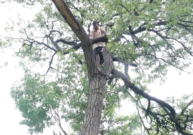 Sahara investor climbs tree outside SC during protest over pending refunds