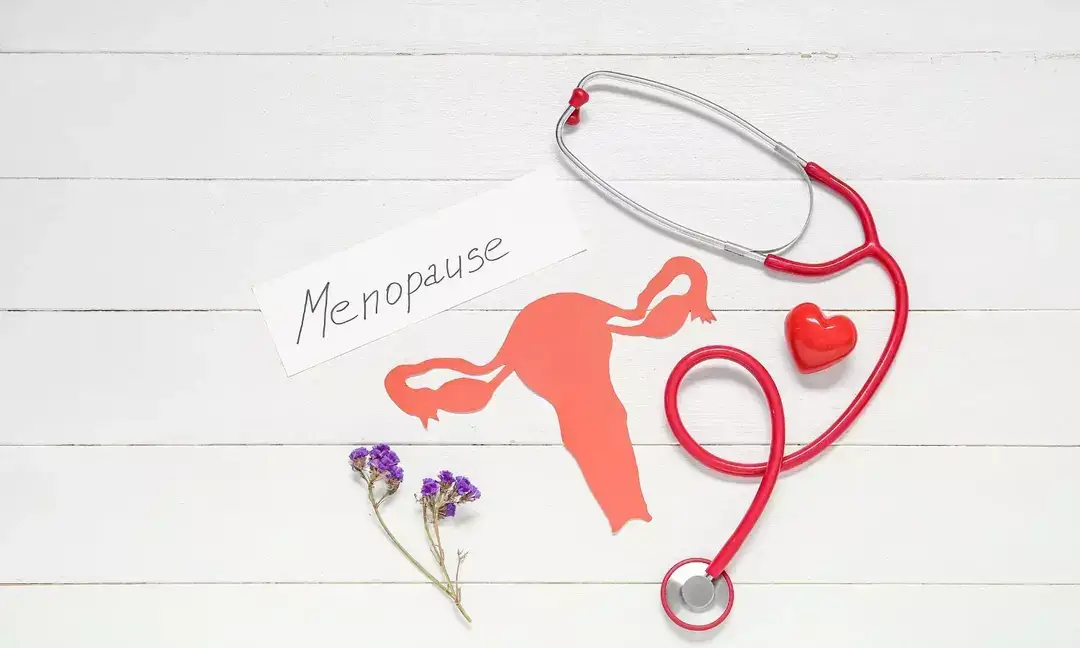 Hot flashes & bone risk rising in midlife women: Experts 