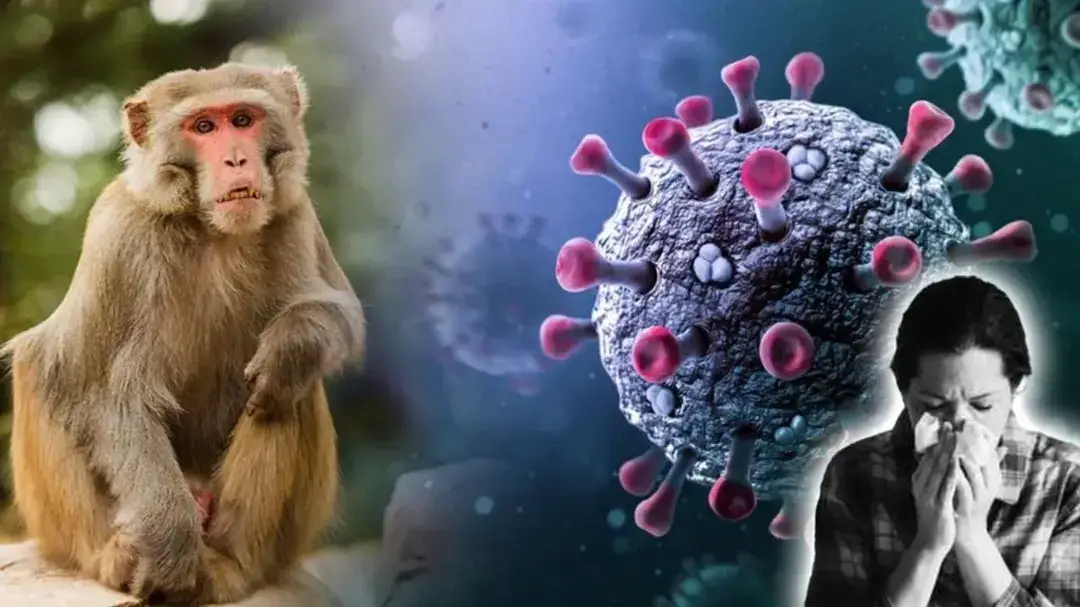 KFD cases detected early in Karnataka, health department on alert