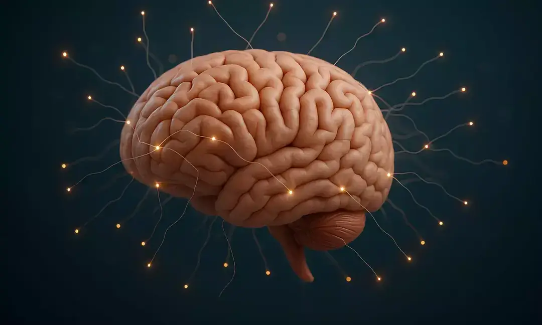 Simple habits that make your brain up to 8 years younger