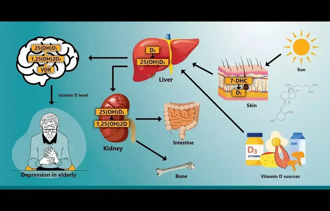 Study links antioxidant vitamin deficits to mental illness