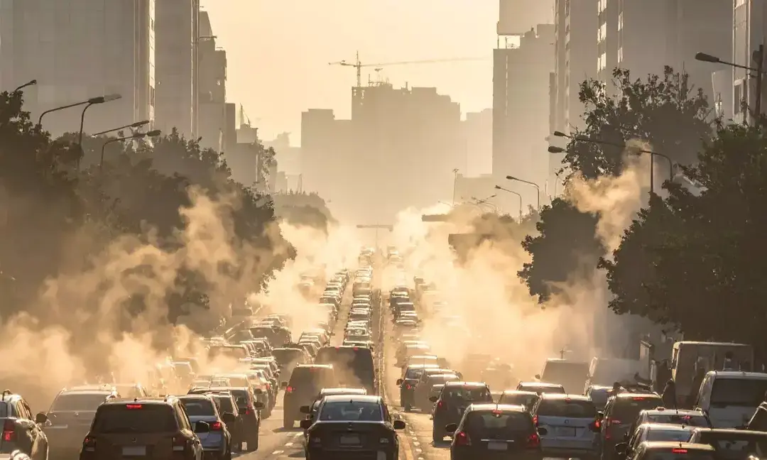 Air pollution disrupts gut health, speeds up heart disease: Study