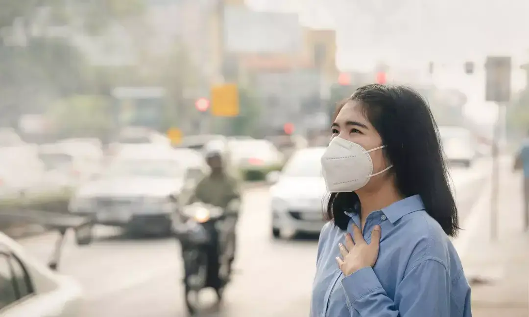 SC criticises CAQM, orders expert review of Delhi-NCR pollution