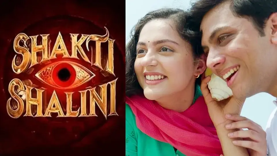 Vishal Jethwa and Aneet to star together in film 'Shakti Shalini'