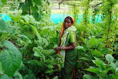 Farming model boosts women income