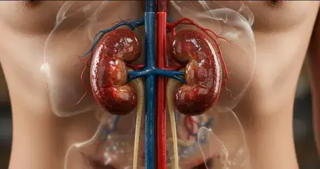 Early warning signs of kidney problems