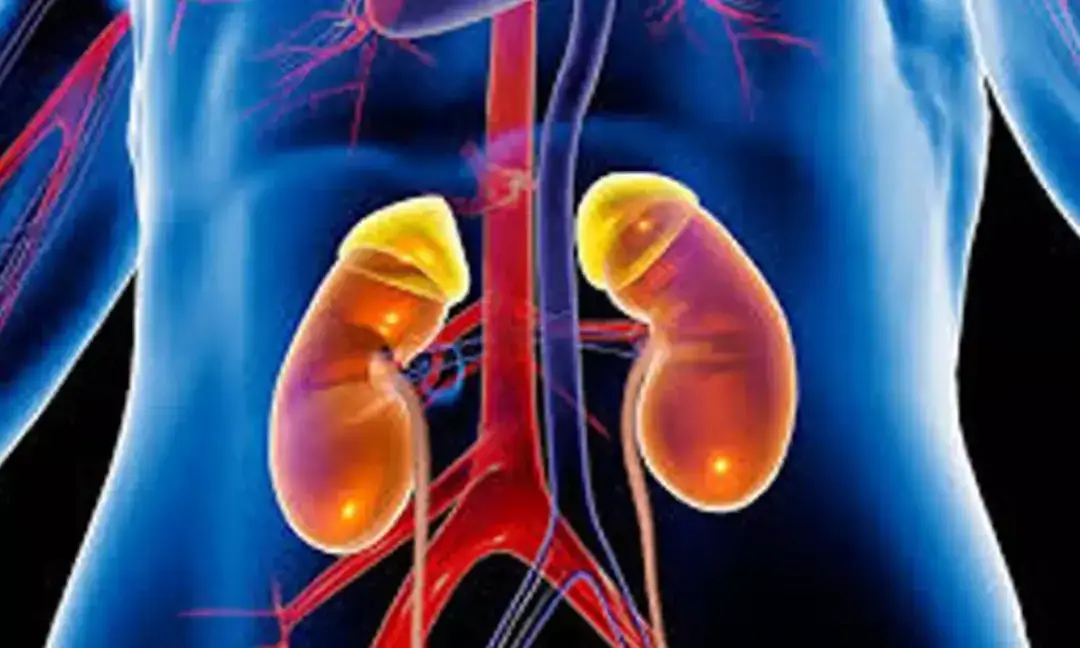 Experts warn extreme heat in 2026 may raise kidney risk