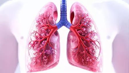 Sri Lanka reports 8,726 TB cases in 2025; 75% pulmonary