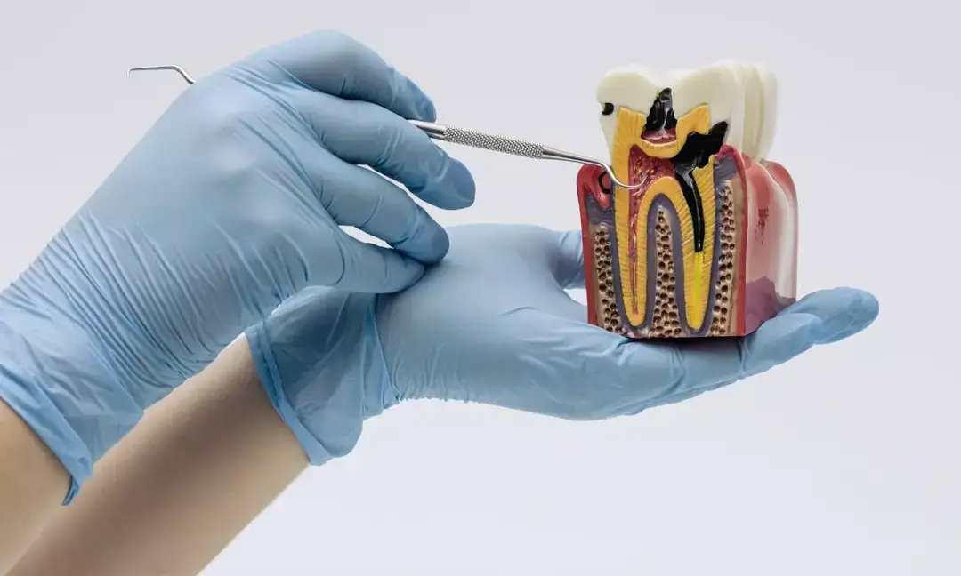 Govt sets up National Dental Commission to reform dental education