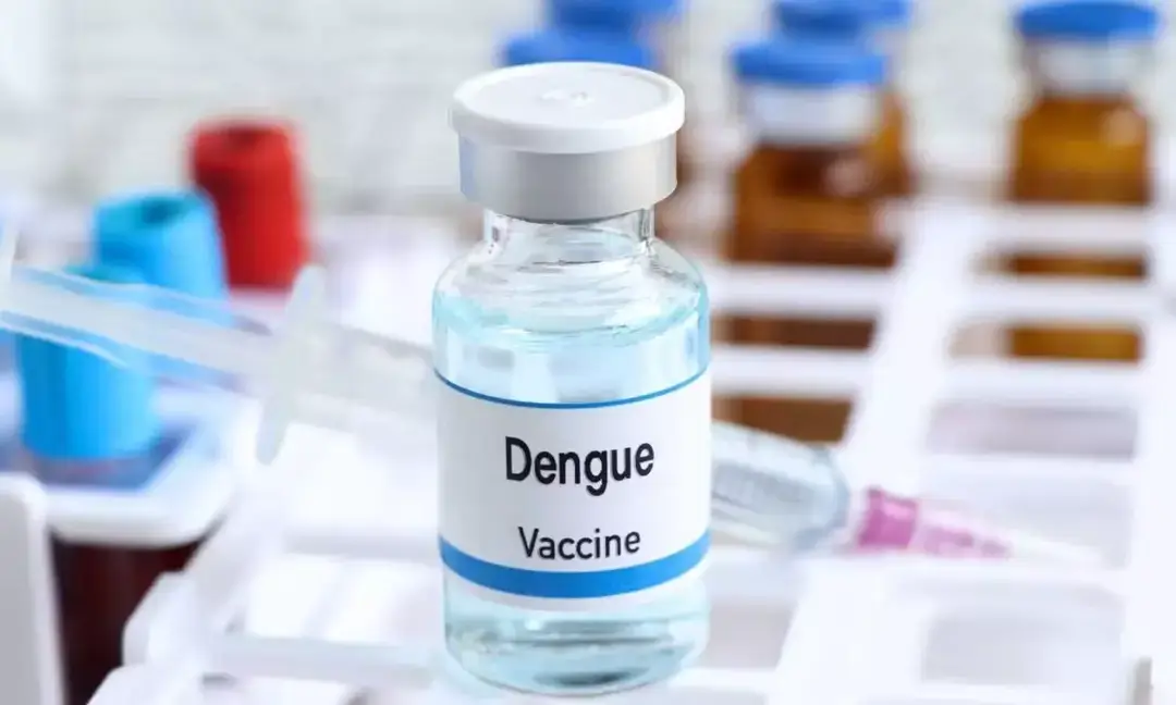 India set to get first dengue vaccine Qdenga