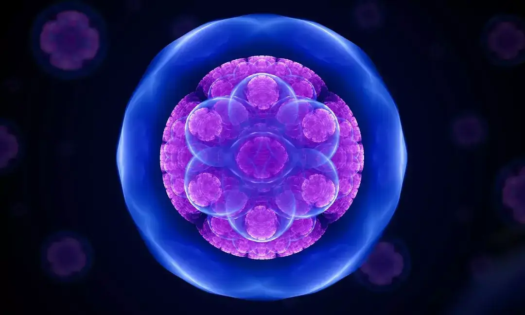 Experts warn of increasing antimicrobial resistance worldwide