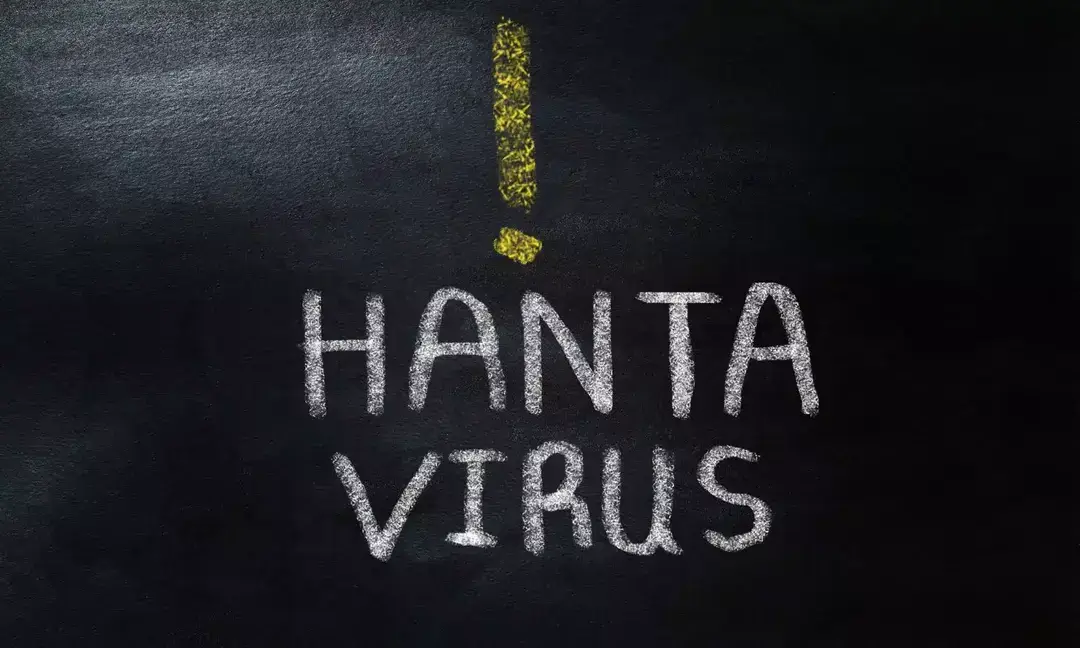 Africa CDC warns of major gaps in hantavirus preparedness 