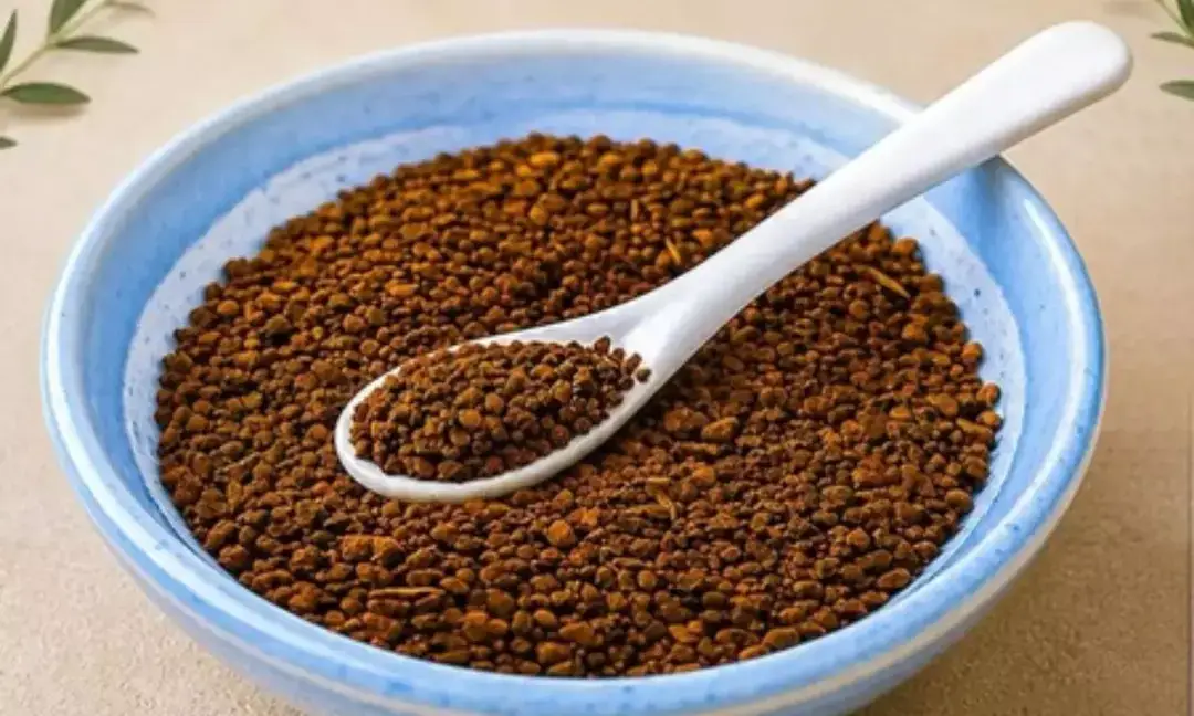 Caffeine-free chicory coffee from Etah becomes a healthy lifestyle