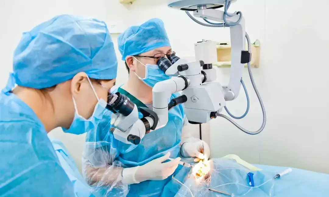 Doctors perform robotic kidney removal on toddler 