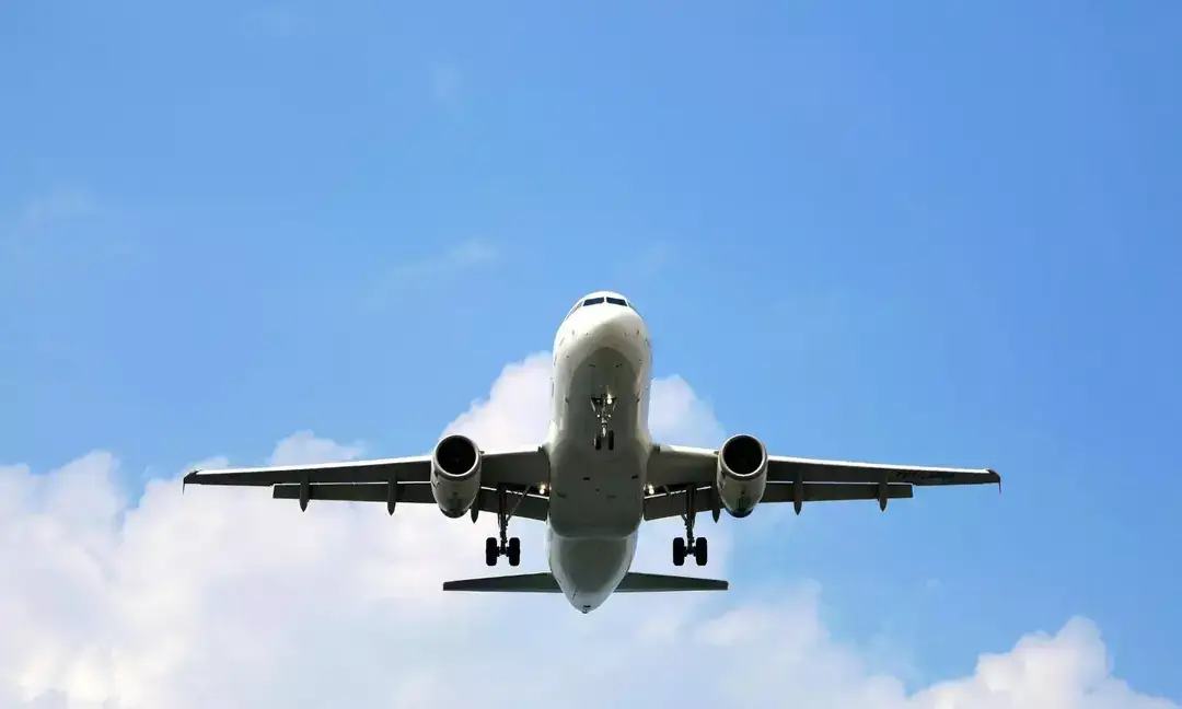 Nurse saved a diabetic passenger during a mid-air emergency