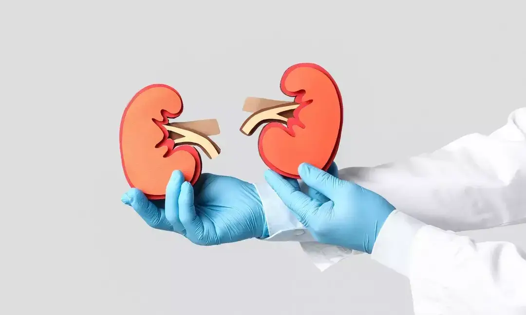 Back pain is a warning sign of kidney tumors