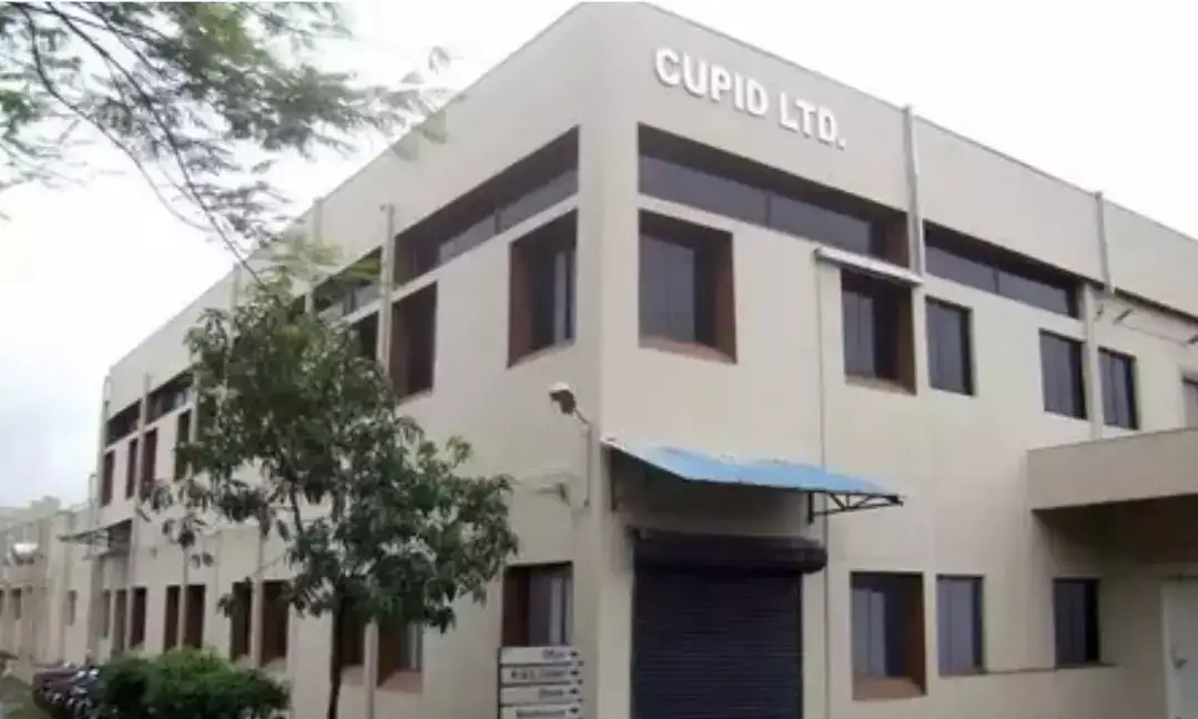 Cupid shares fall 11% after hitting record high