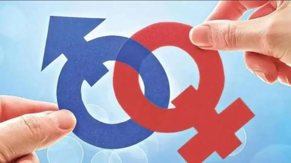 Haryana SRB falls by 23 points to 900 in 1st half of 2026