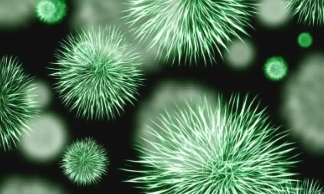 Japanese study finds bacteria that may remove 'forever chemicals'