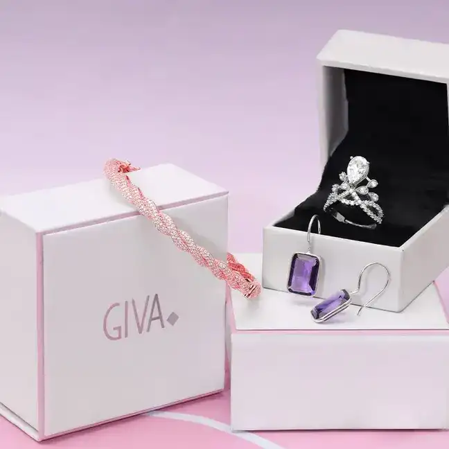 Giva in talks with private equity firms to raise ₹934 cr: Report