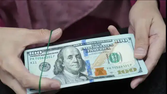 India draws $17.4 bn in FCNR(B) under RBI's push to attract foreign capital